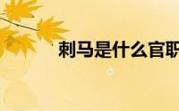 刺马是什么官职（刺马是什么）
