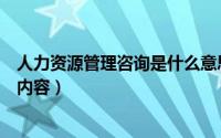 人力资源管理咨询是什么意思（人力资源管理咨询包括什么内容）