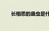 长相思的蛊虫是什么（蛊虫是什么）