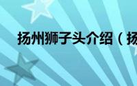扬州狮子头介绍（扬州狮子头绝密配方）