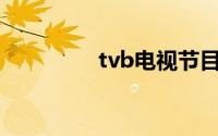 tvb电视节目时间表2004