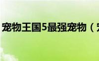 宠物王国5最强宠物（宠物王国5宠物合成表）