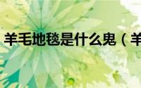 羊毛地毯是什么鬼（羊毛地毯优缺点是什么）