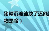 猪精沉淀结块了还能用吗（猪精里白白的沉淀物是啥）