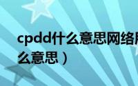 cpdd什么意思网络用语（pki网络用语是什么意思）