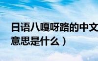 日语八嘎呀路的中文意思是什么（mike中文意思是什么）