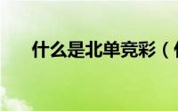什么是北单竞彩（什么是北单半全场）