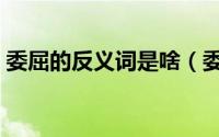 委屈的反义词是啥（委屈的反义词标准答案）