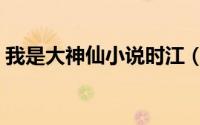 我是大神仙小说时江（我是大神仙有小说吗）