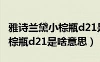 雅诗兰黛小棕瓶d21是啥意思呢（雅诗兰黛小棕瓶d21是啥意思）