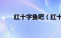 红十字鱼吧（红十字鱼适合群养吗）