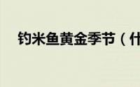 钓米鱼黄金季节（什么季节钓米鱼最好）