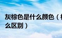 灰棕色是什么颜色（棕色和栗色两种颜色有什么区别）