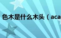 色木是什么木头（acaciawood是什么木头）