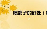 喂鸽子的好处（喂鸽子什么意思）