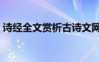 诗经全文赏析古诗文网（凤凰于飞诗经全文）