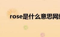 rose是什么意思网络（rose网络意思）