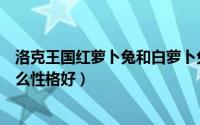 洛克王国红萝卜兔和白萝卜兔的区别（洛克王国红萝卜兔什么性格好）