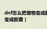 dnf怎么把宠物变成胶囊（地下城宠物蛋怎么变成胶囊）