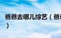 爸爸去哪儿综艺（爸爸去哪儿上快本是第几季）