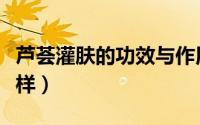 芦荟灌肤的功效与作用（芭芭乐芦荟灌肤怎么样）