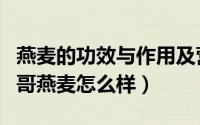 燕麦的功效与作用及营养价值（马来西亚素玛哥燕麦怎么样）
