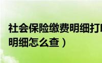 社会保险缴费明细打印（泰康人寿的保险缴费明细怎么查）