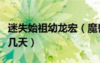 迷失始祖幼龙宏（魔兽世界迷失始祖幼龙要蹲几天）
