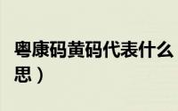 粤康码黄码代表什么（健康码黄码代表什么意思）