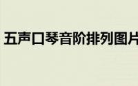 五声口琴音阶排列图片（五声口琴音阶排列）