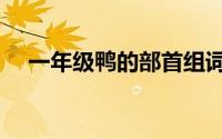 一年级鸭的部首组词（一年级鸭的部首）