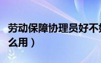 劳动保障协理员好不好（劳动保障协理员有什么用）