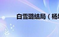白雪璐结局（杨坤和白雪的结局）