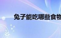 兔子能吃哪些食物（兔子能跑多快）