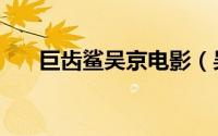 巨齿鲨吴京电影（吴京演过什么电影）