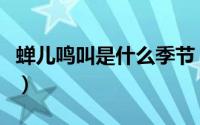 蝉儿鸣叫是什么季节（夏天蝉儿在树上做什么）