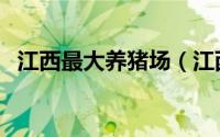 江西最大养猪场（江西最大养猪企业排名）