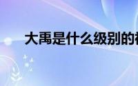 大禹是什么级别的神（大禹是哪的人）