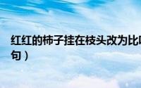 红红的柿子挂在枝头改为比喻句（沉甸甸的柿子像什么比喻句）