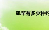 矶竿有多少种钓法（矶竿分类）