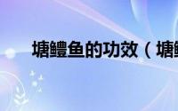 塘鳢鱼的功效（塘鳢鱼与笋壳鱼区别）
