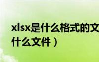 xlsx是什么格式的文件怎么填写（xls格式是什么文件）
