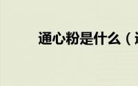 通心粉是什么（通心粉鼠好养吗）
