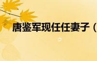 唐鉴军现任任妻子（唐鉴军有几任妻子）