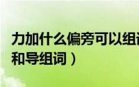 力加什么偏旁可以组词什么导（力加什么偏旁和导组词）