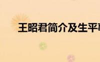 王昭君简介及生平事迹（王昭君简介）