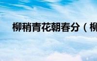 柳稍青花朝春分（柳梢青花朝春分译文）