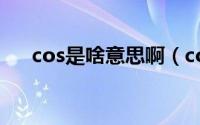 cos是啥意思啊（cos是什么你知道吗）
