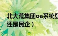 北大荒集团oa系统登录（北大荒集团是央企还是民企）