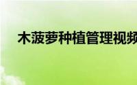 木菠萝种植管理视频（木菠萝种植方法）
